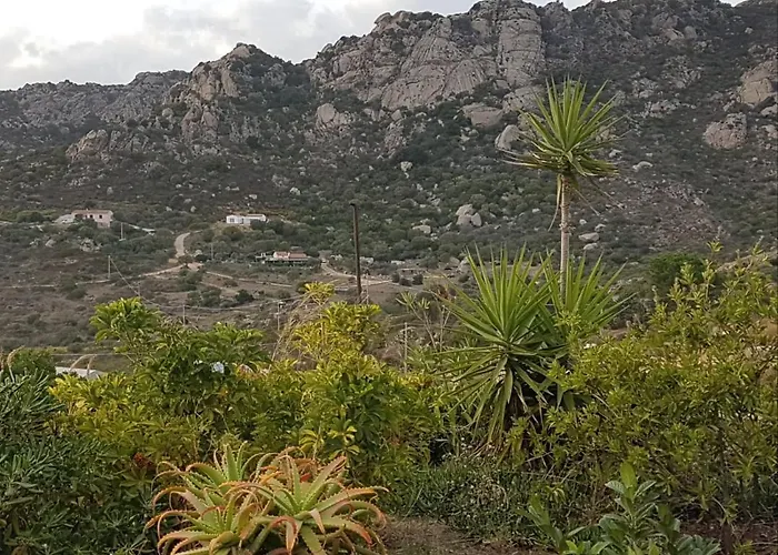 Будинок відпочинку Osseddu *