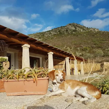 Osseddu Nyaraló Olbia