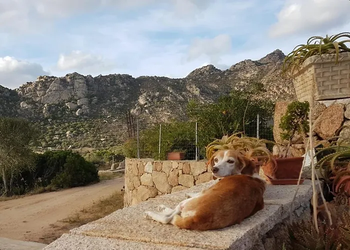 Semesterbostad Osseddu *