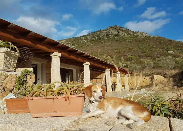 Osseddu Semesterbostad Olbia